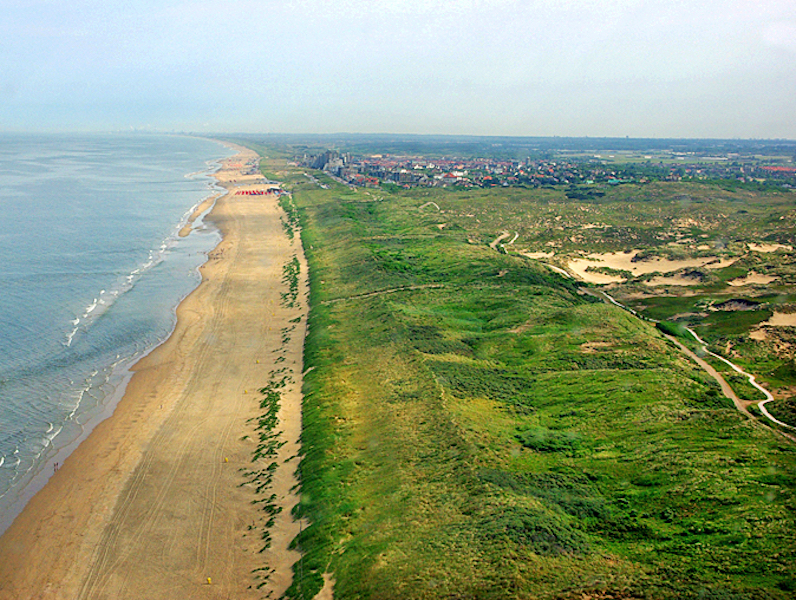 Natura 2000 vegetatiemonitor